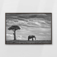 LWN120W080