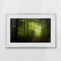 PSP060W040