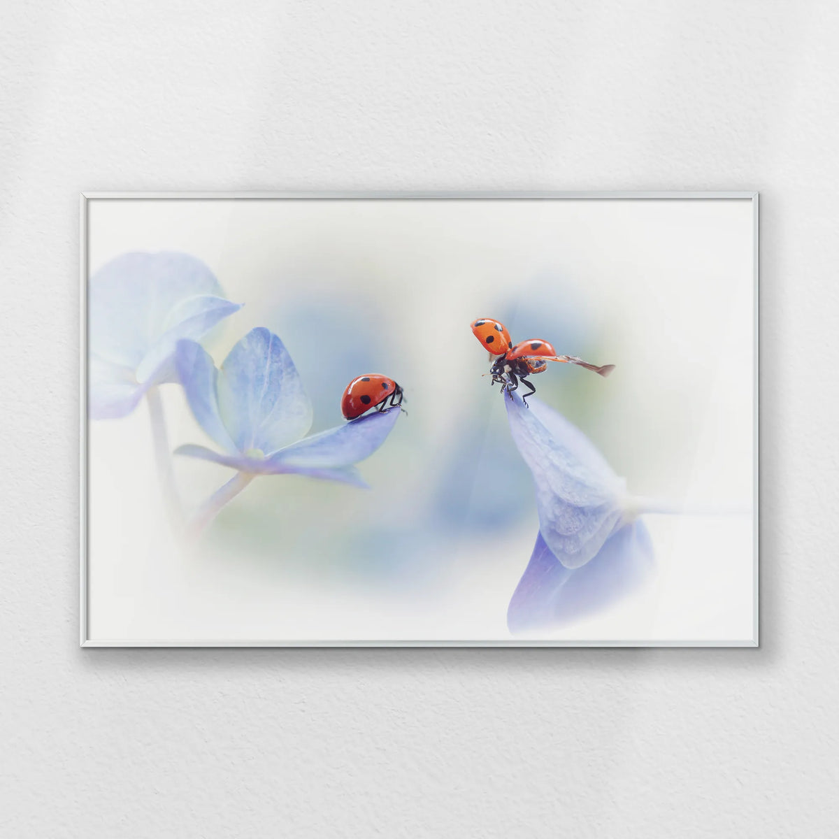 PS-093W062