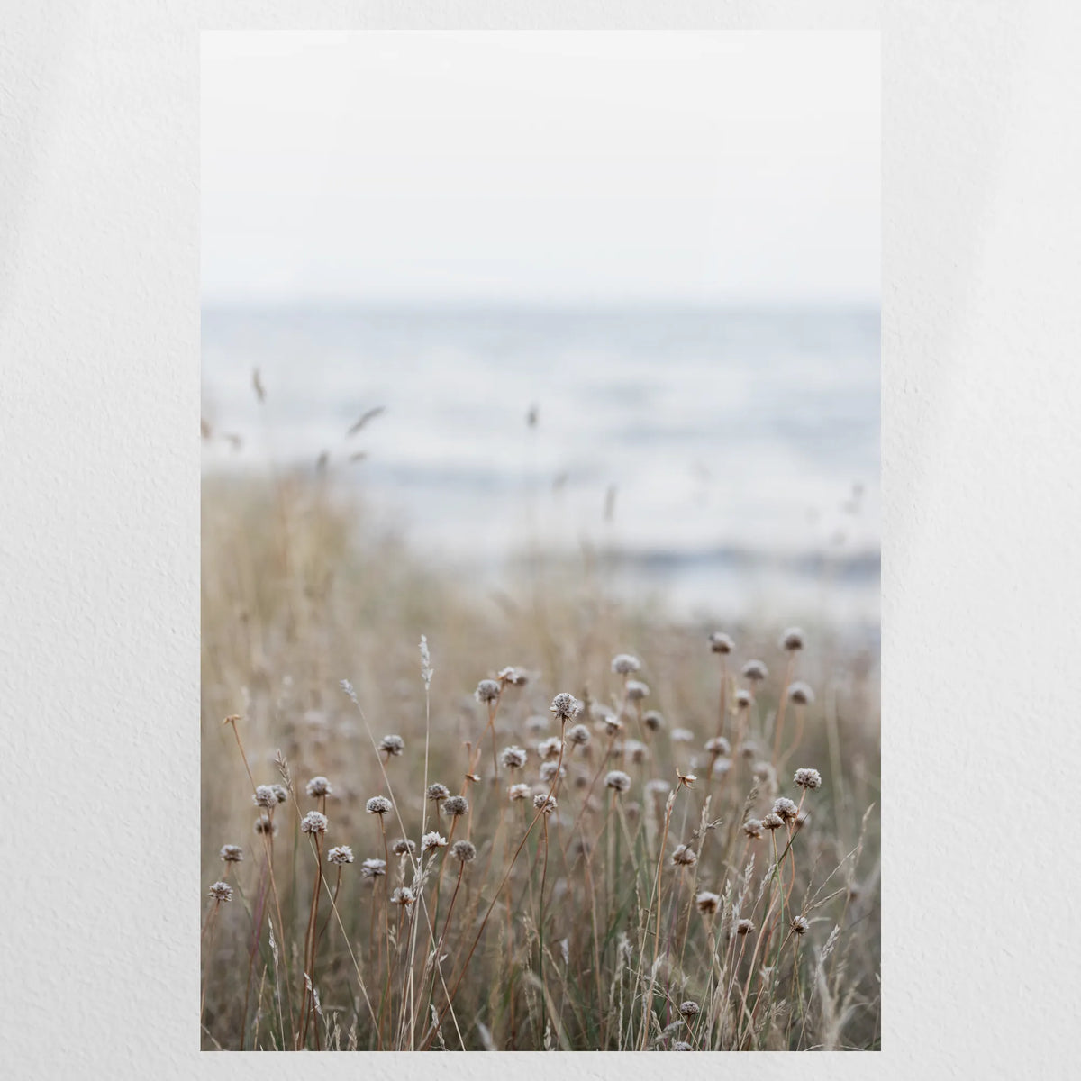 PO-080W120