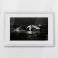 PWP060W040