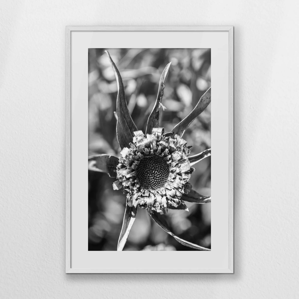 PWP062W093