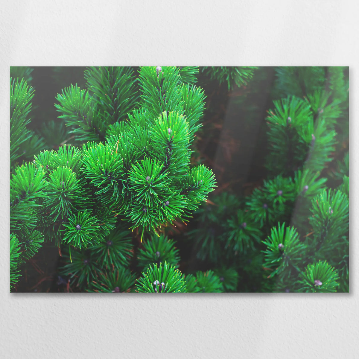 AL-090W060