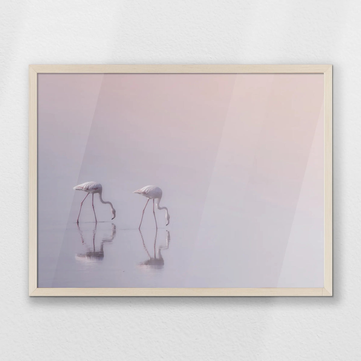 PN-070W050