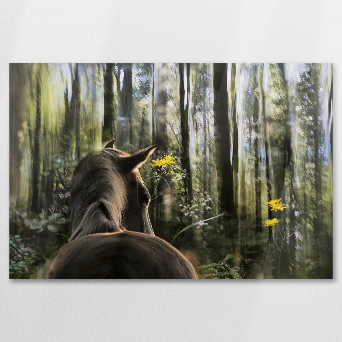 AC-075W050