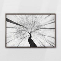 LWN100W070