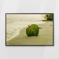 LWN120W080
