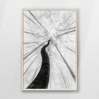 PN-062W093