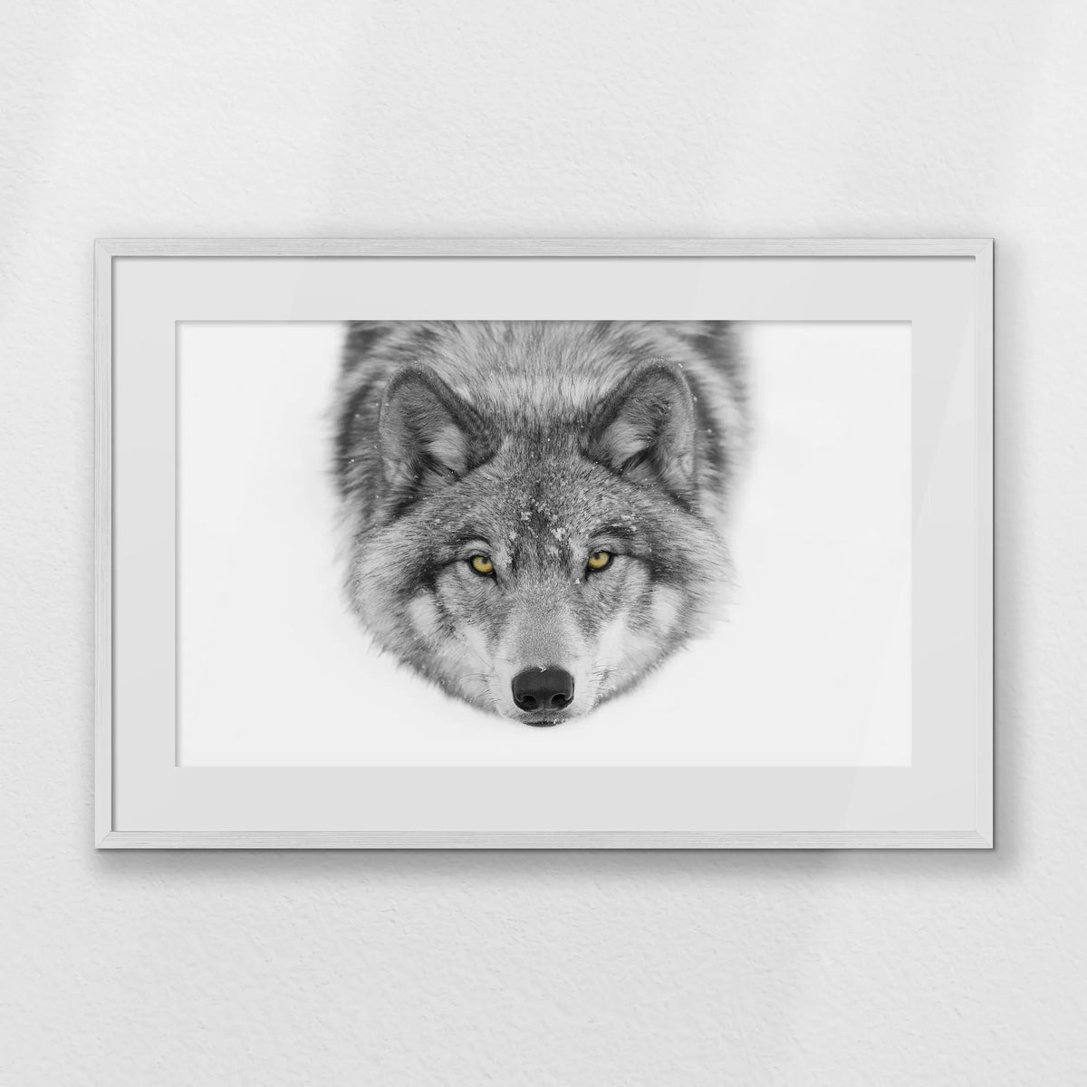 PWP093W062