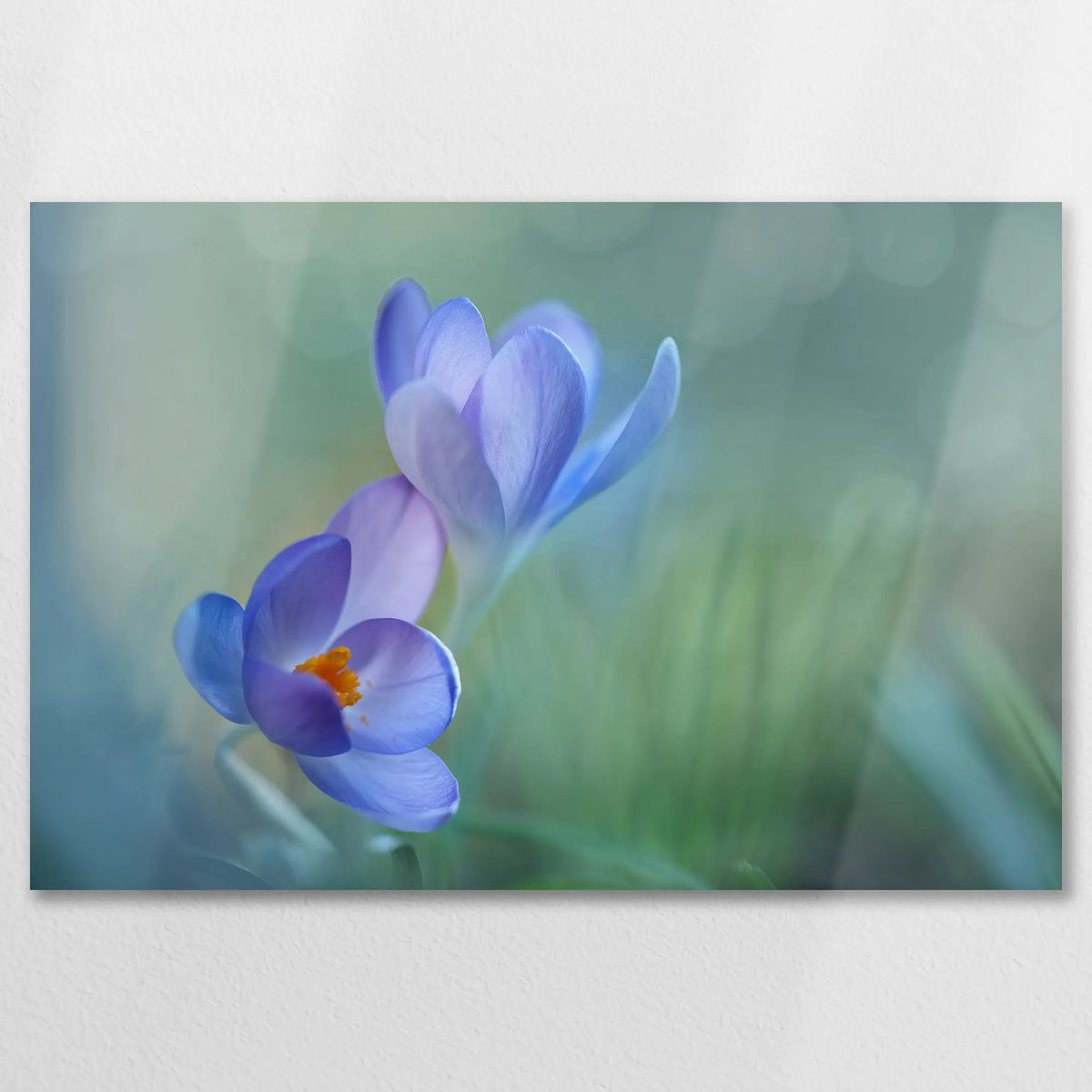 AL-090W060
