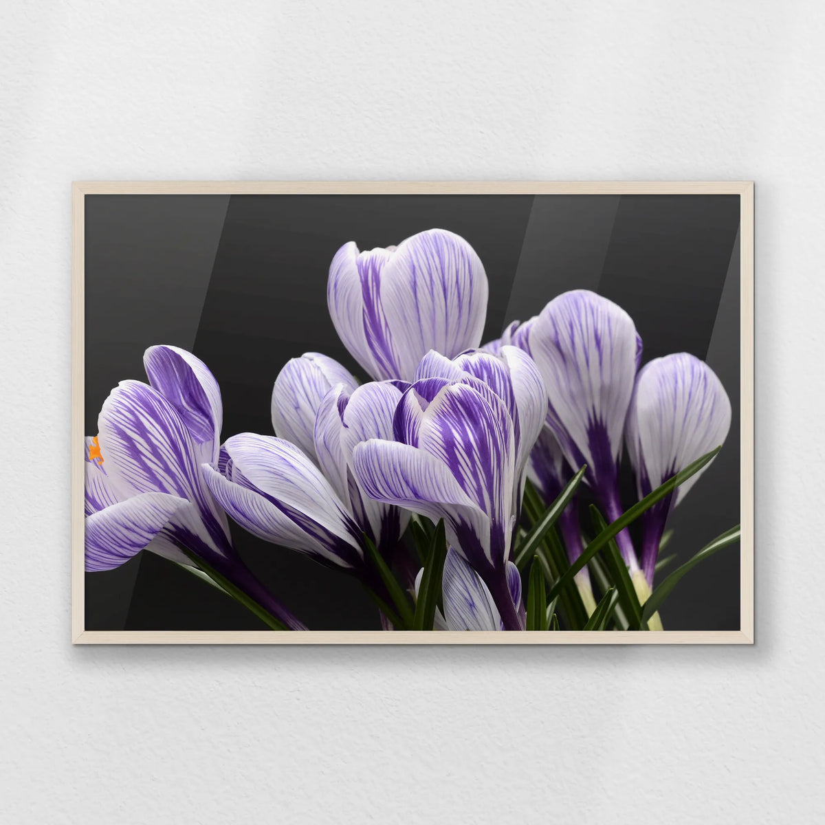 PN-093W062