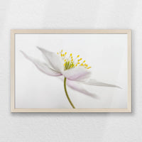 PN-060W040