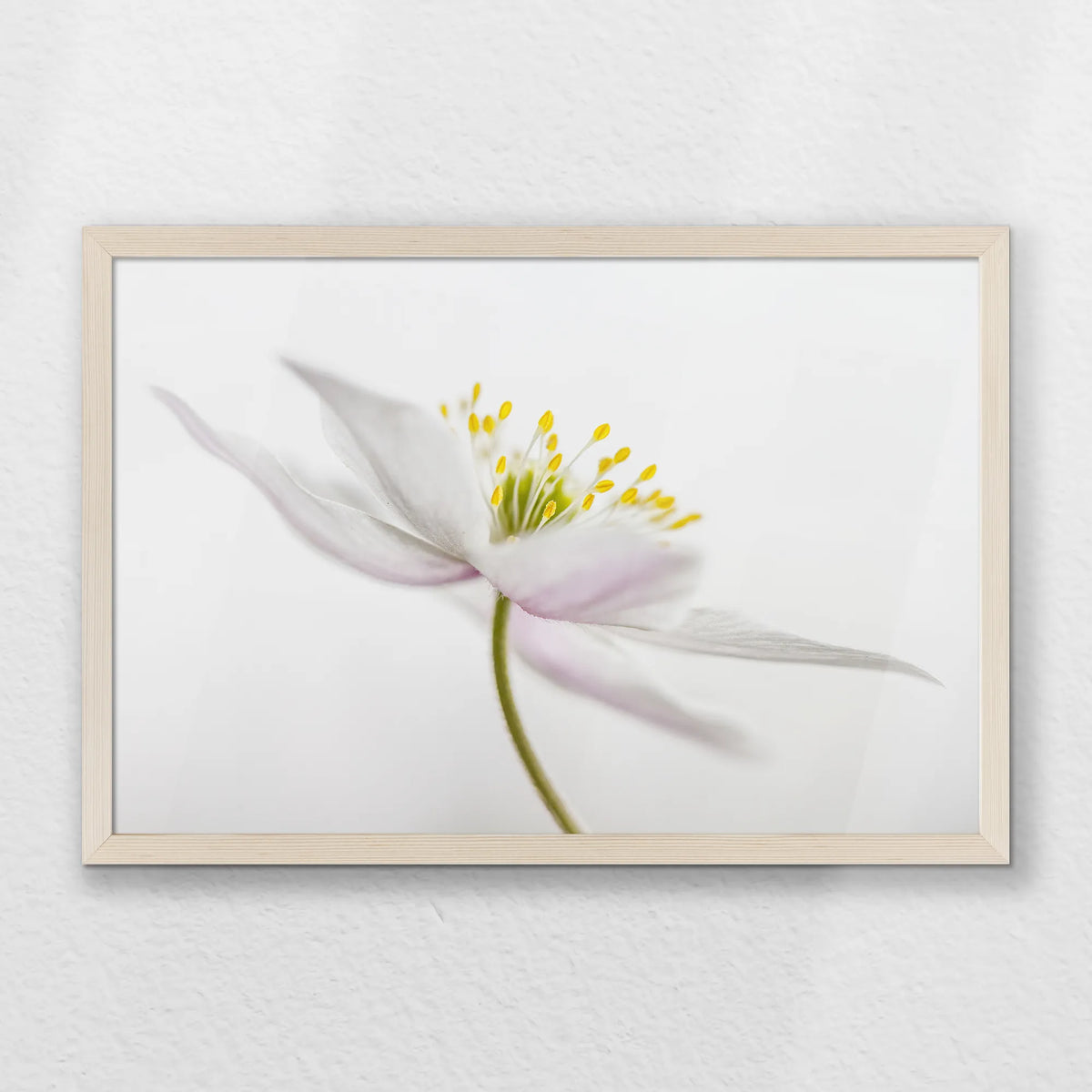 PN-060W040
