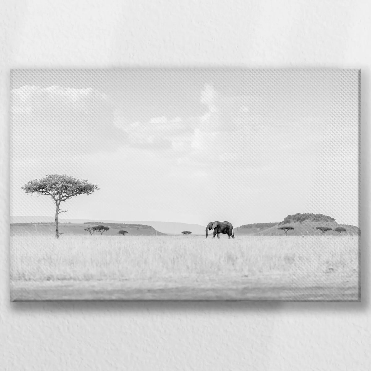 LW-030W020