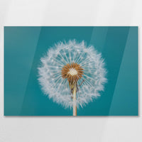 AC-075W050