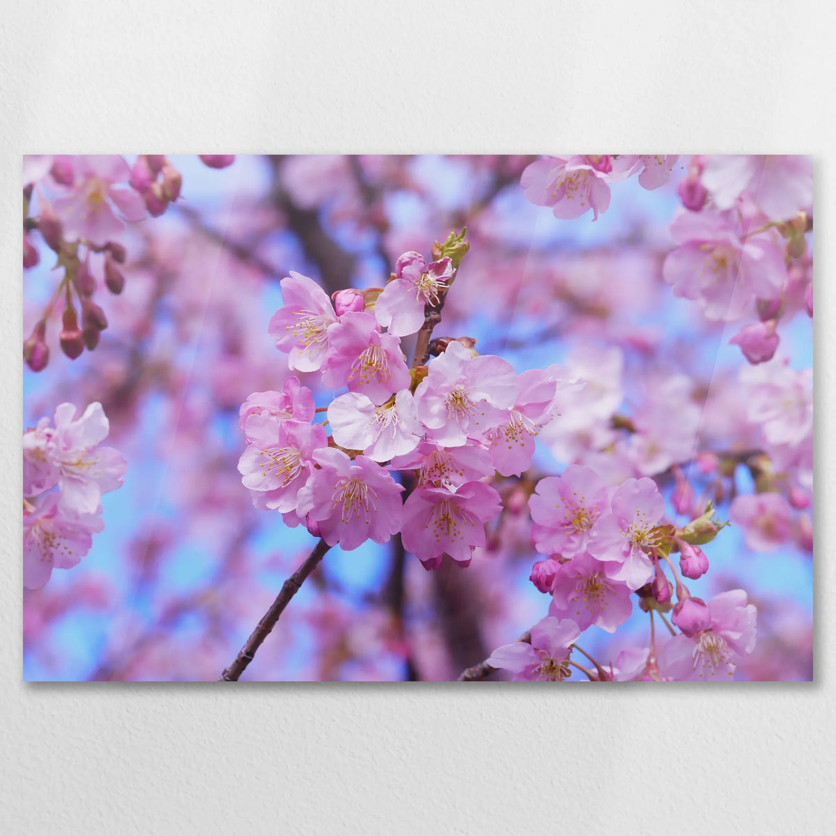 AC-075W050