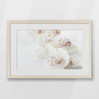 PNP060W040