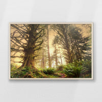PN-093W062