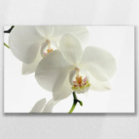 LW-090W060