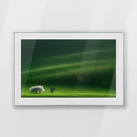 PSP120W080