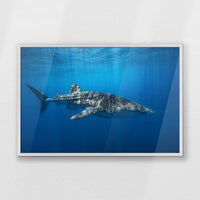 PW-093W062