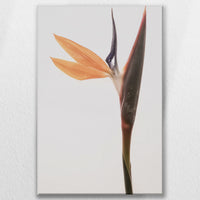 LW-060W090