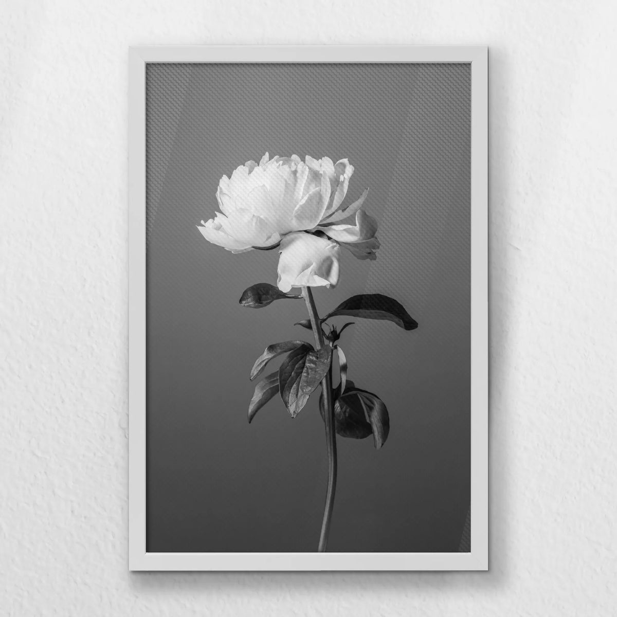 LWW040W060