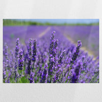 PO-060W040