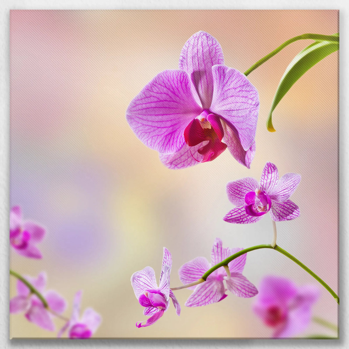 LW-080W080
