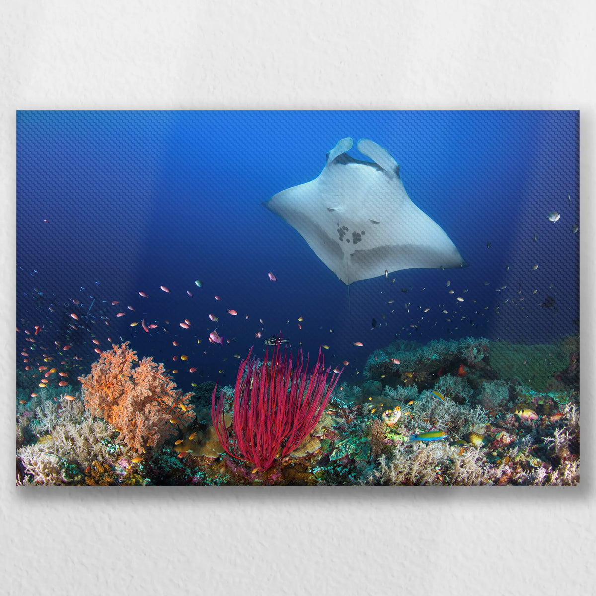 LW-045W030