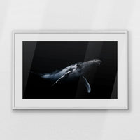 PWP093W062