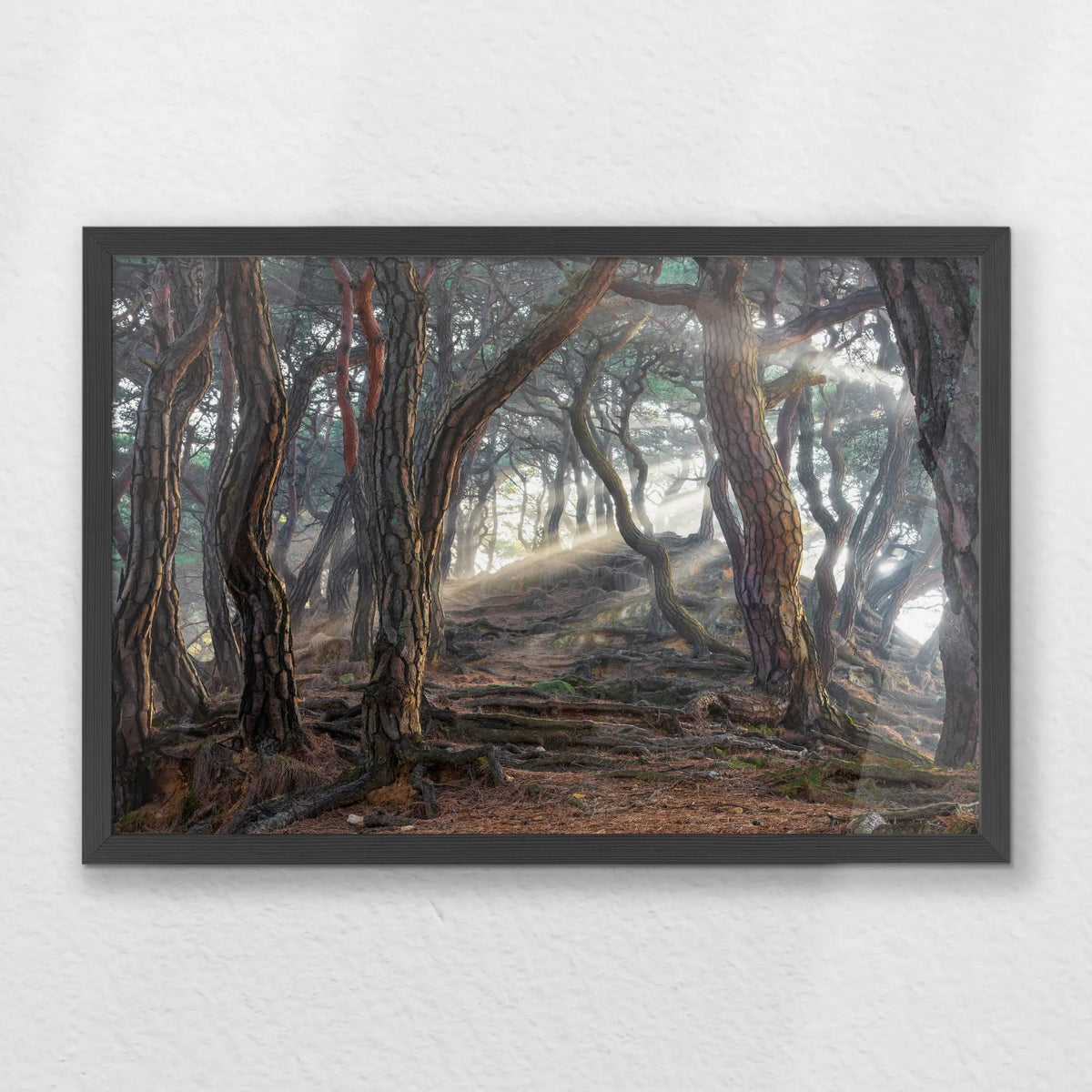 PK-060W040