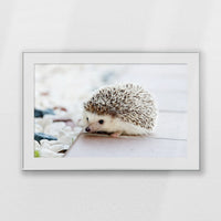 PSP120W080