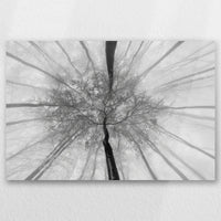 AC-060W040