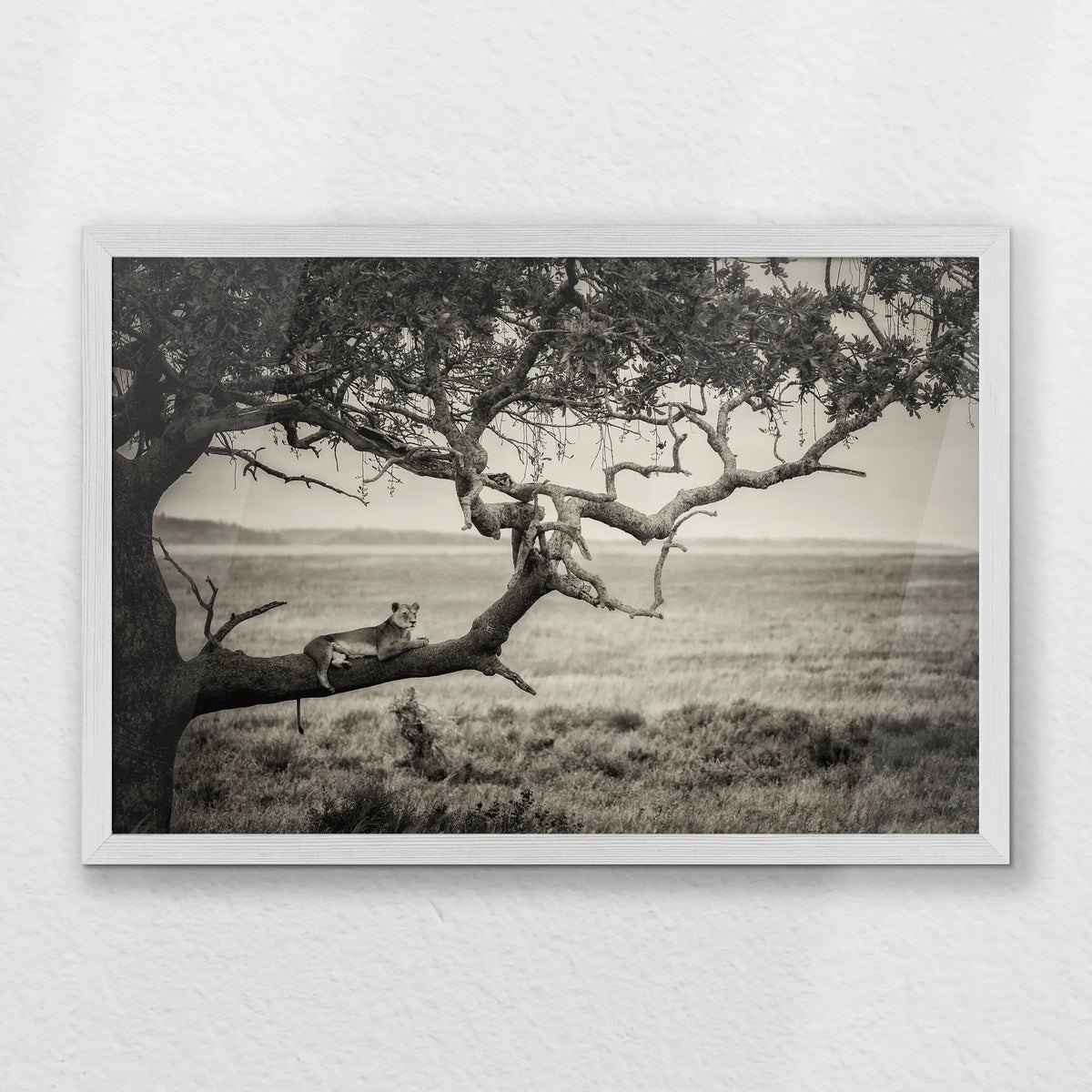 PW-060W040