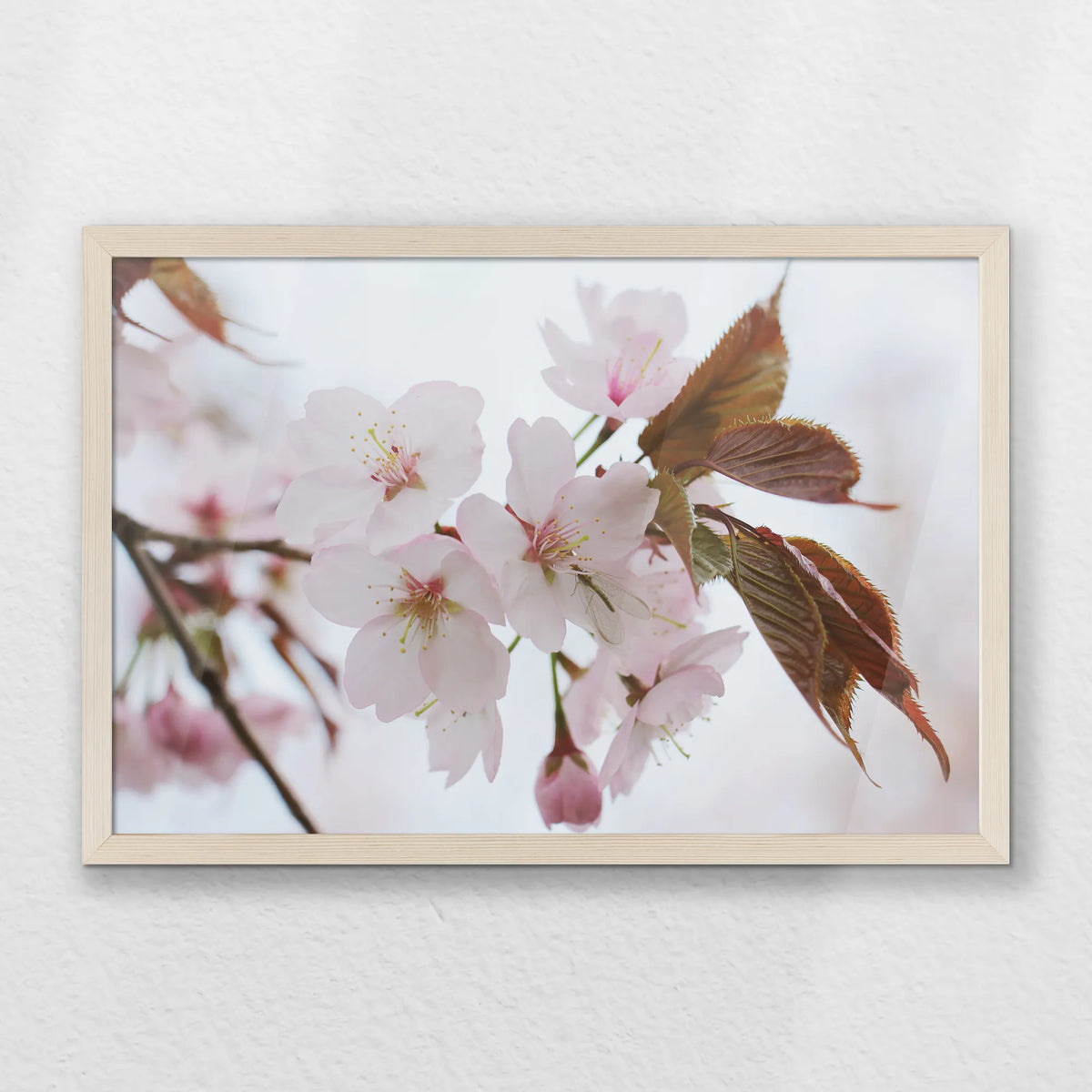 PN-060W040