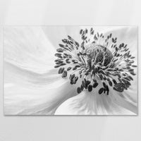 AL-120W080