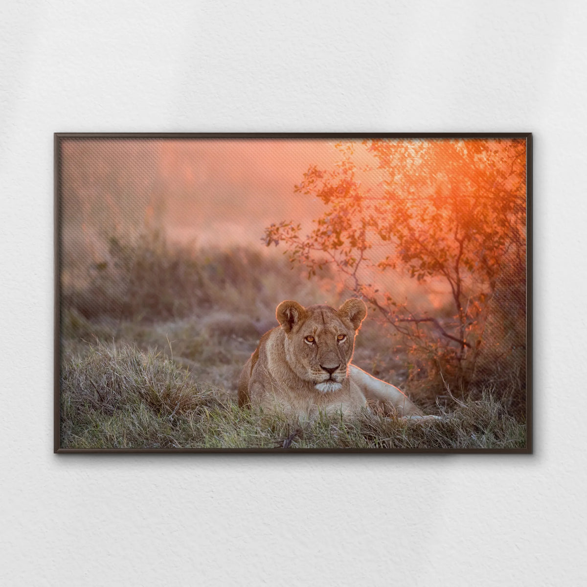 LWN120W080