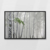 LWB100W070