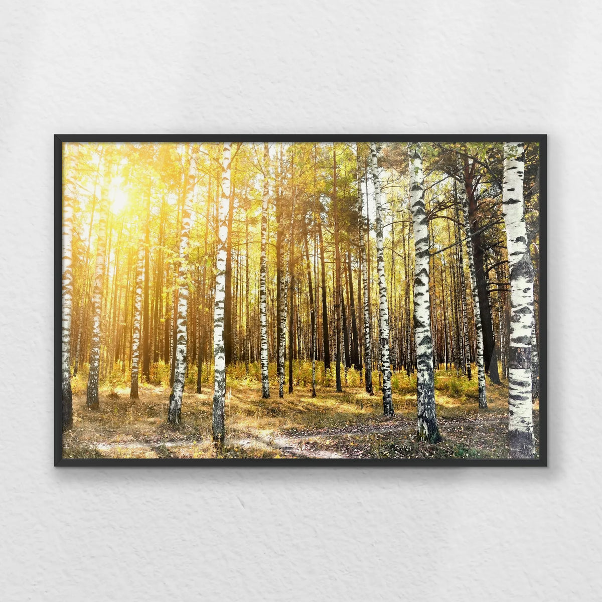PB-060W040
