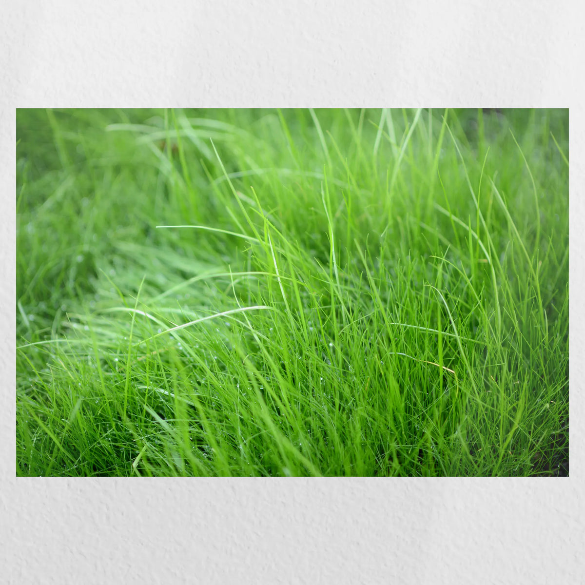 PO-030W020