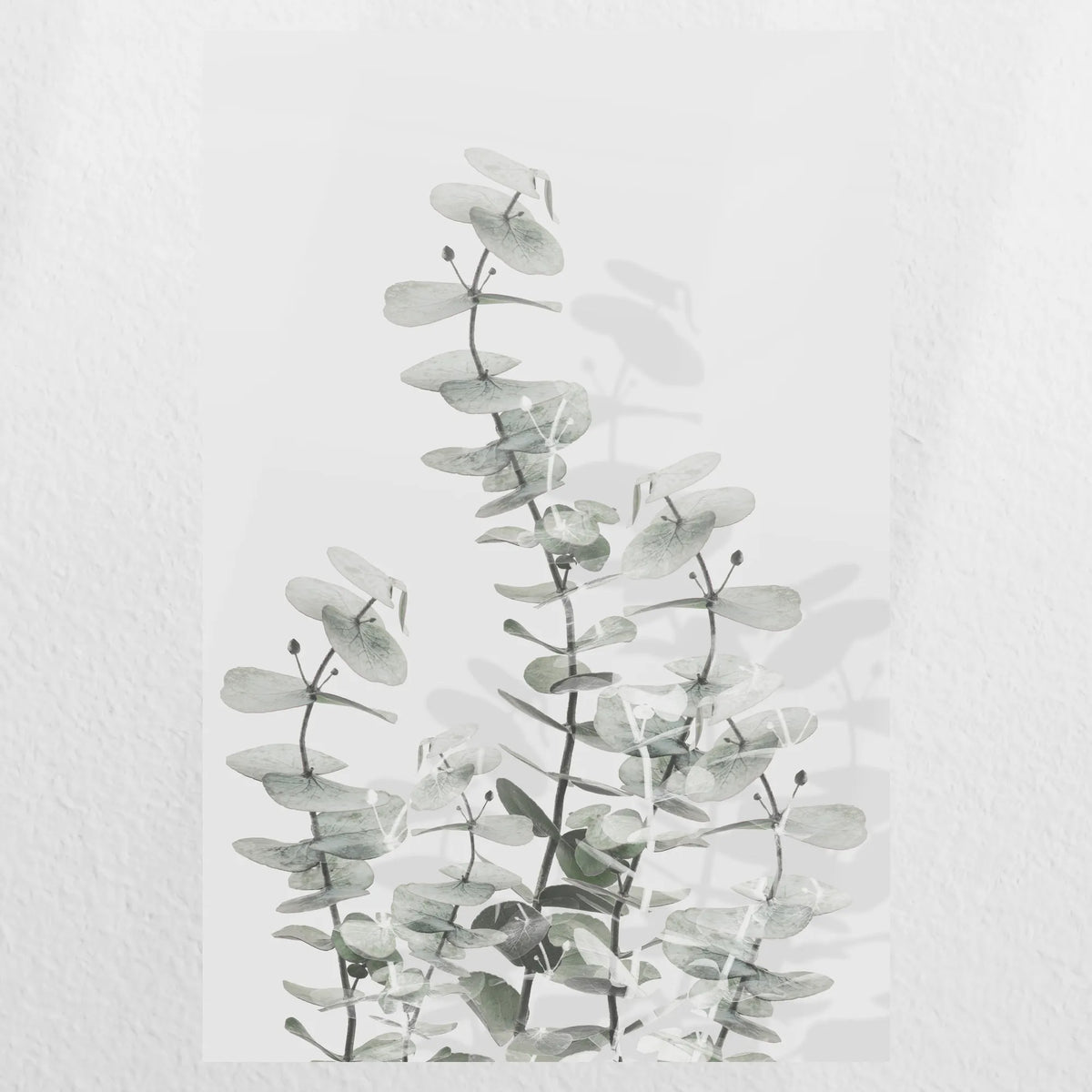 PO-030W045