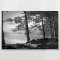 LW-075W050