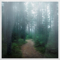 PO-090W090