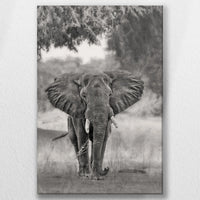 LW-050W075