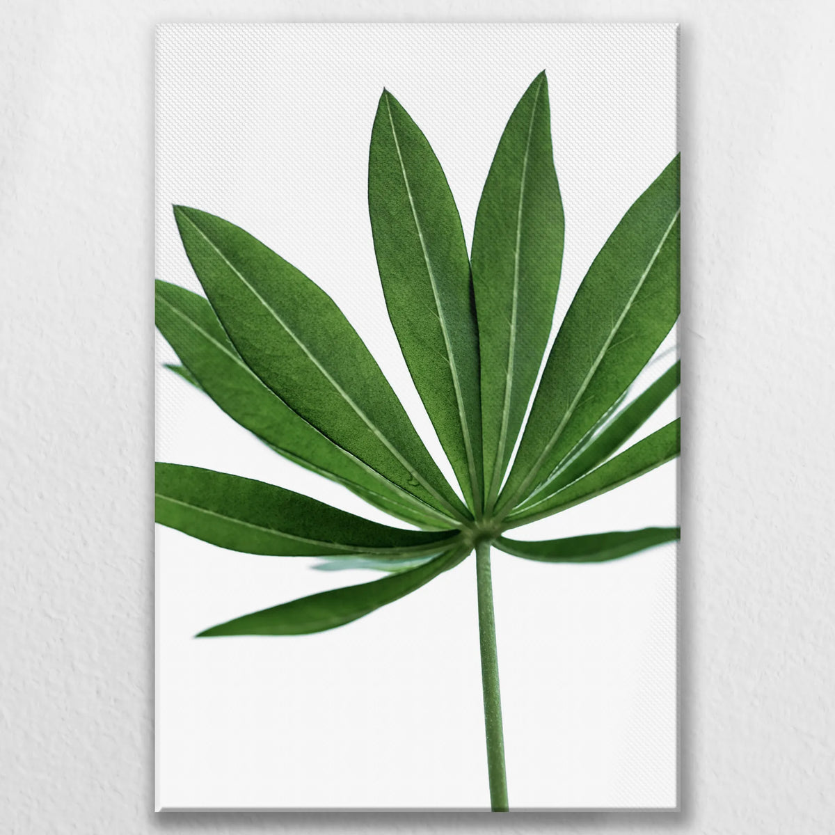 LW-060W090