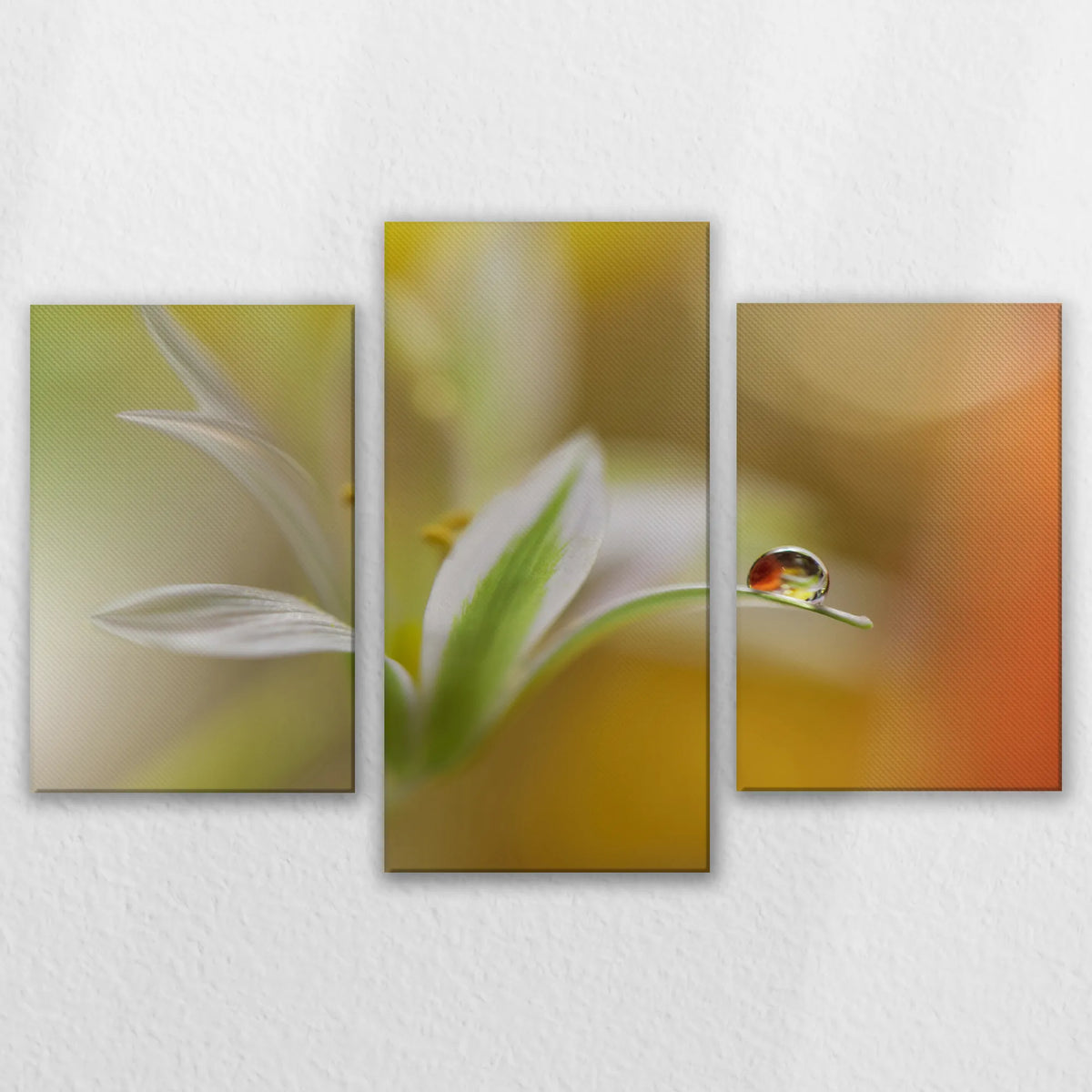 LW-120T080
