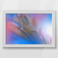 LWW030W020