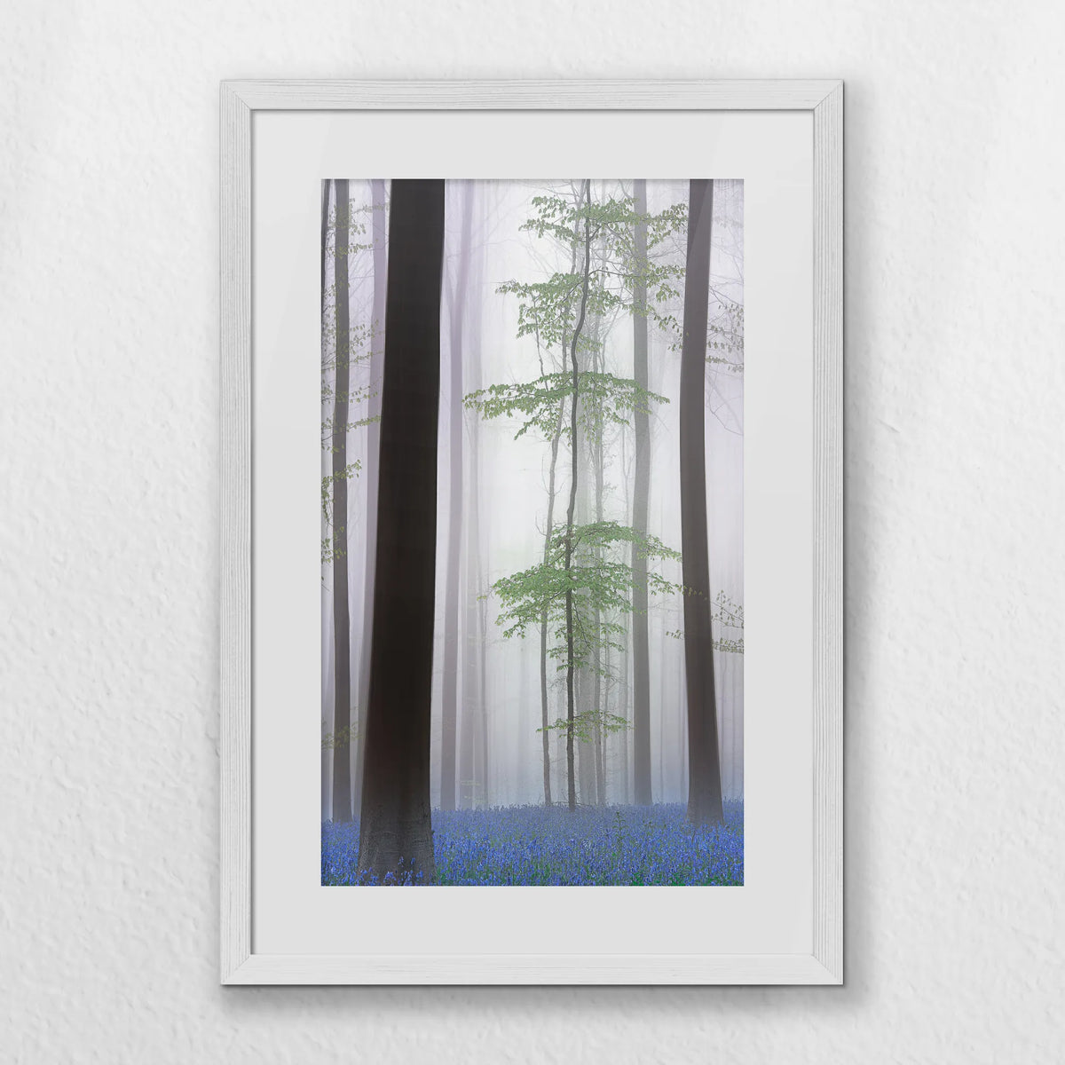 PWP040W060