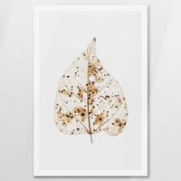 AC-080W120